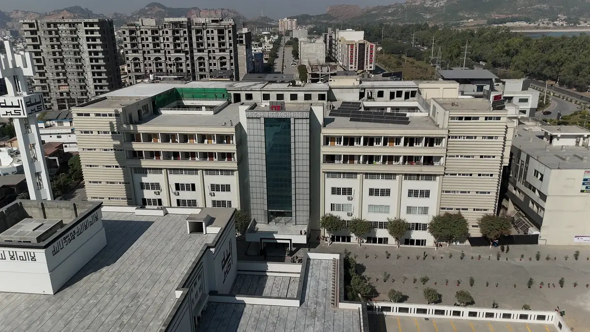National Excellence Institute service image